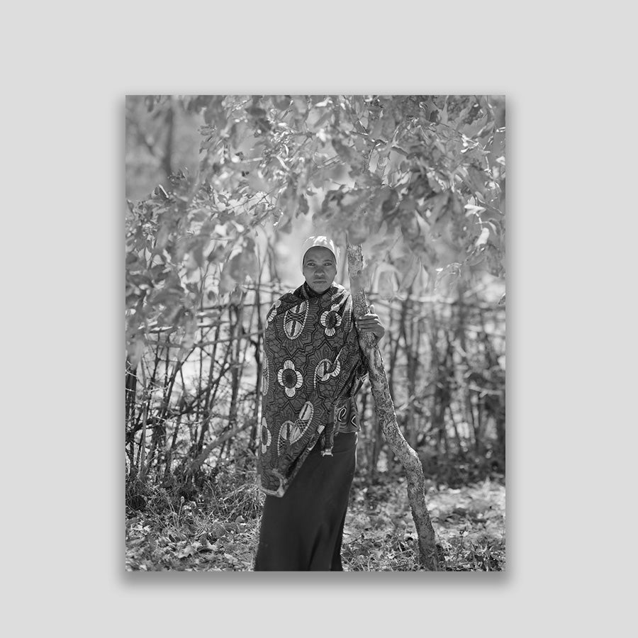 From where loss comes