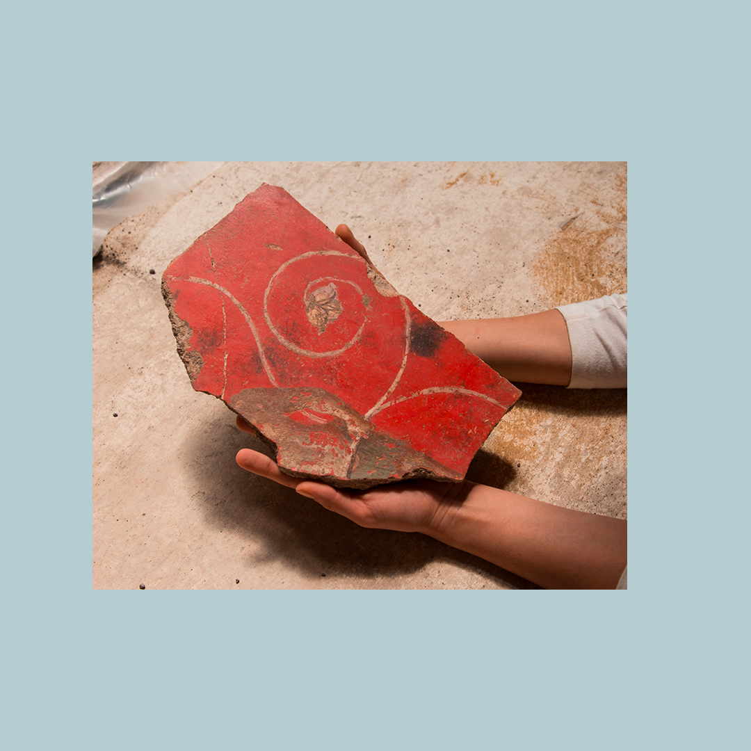 Shane Lavalette New Monuments /anglais