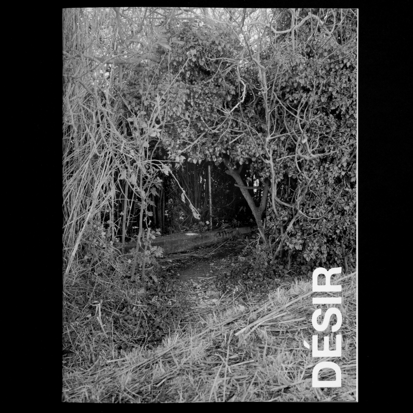 DESIR