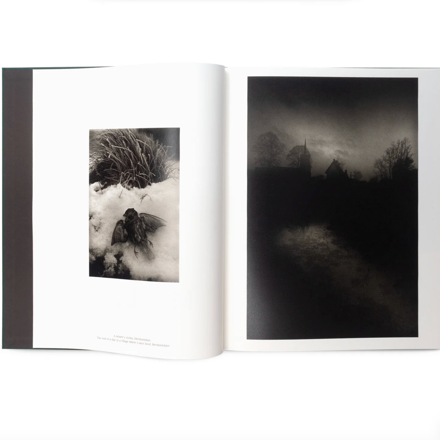 The Stillness of Life