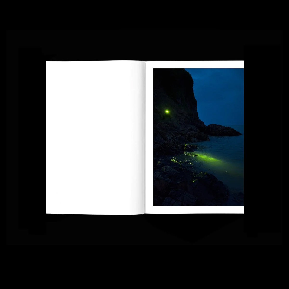 Cursed algae, a sea of tears