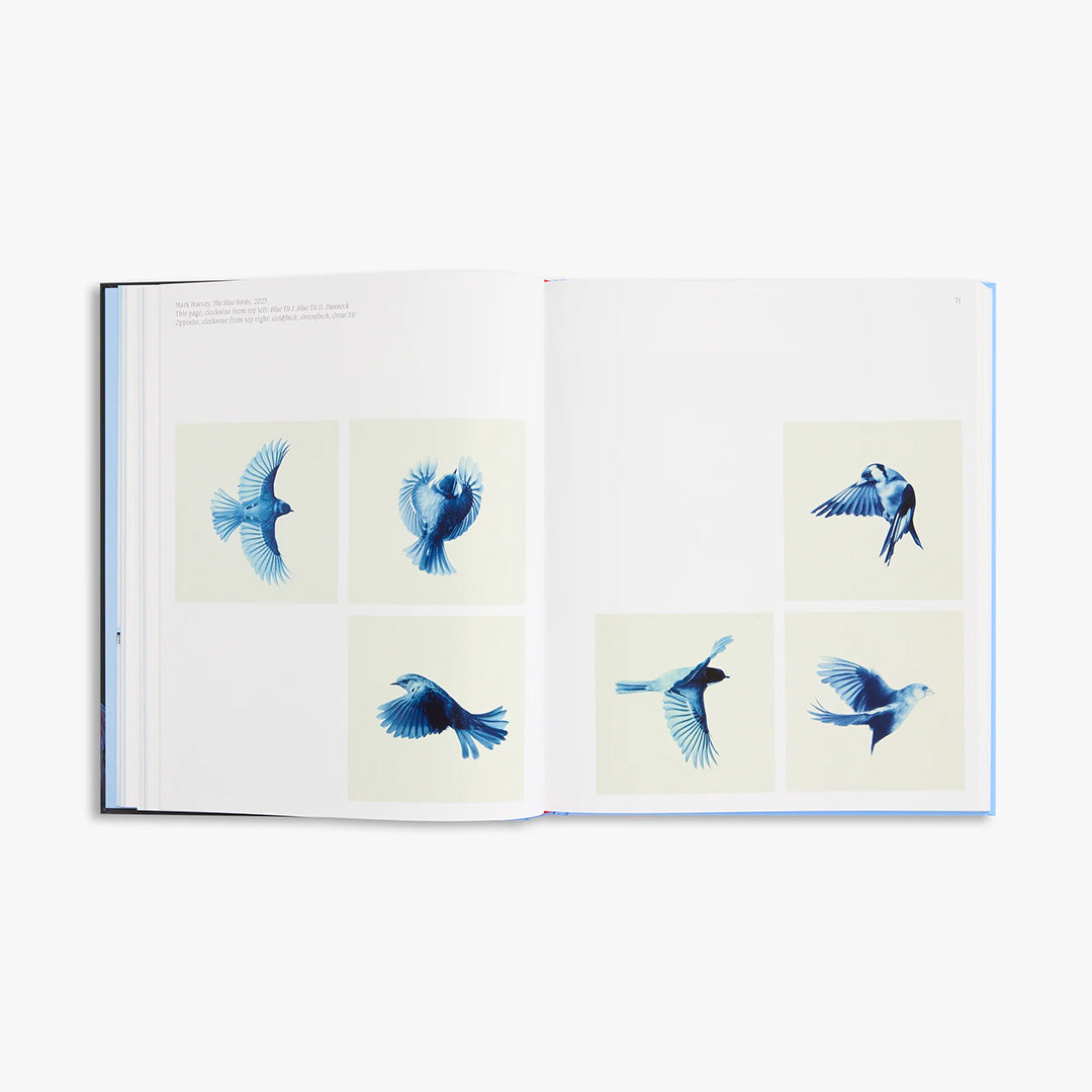 Aviary : The Bird in Contemporary Photography