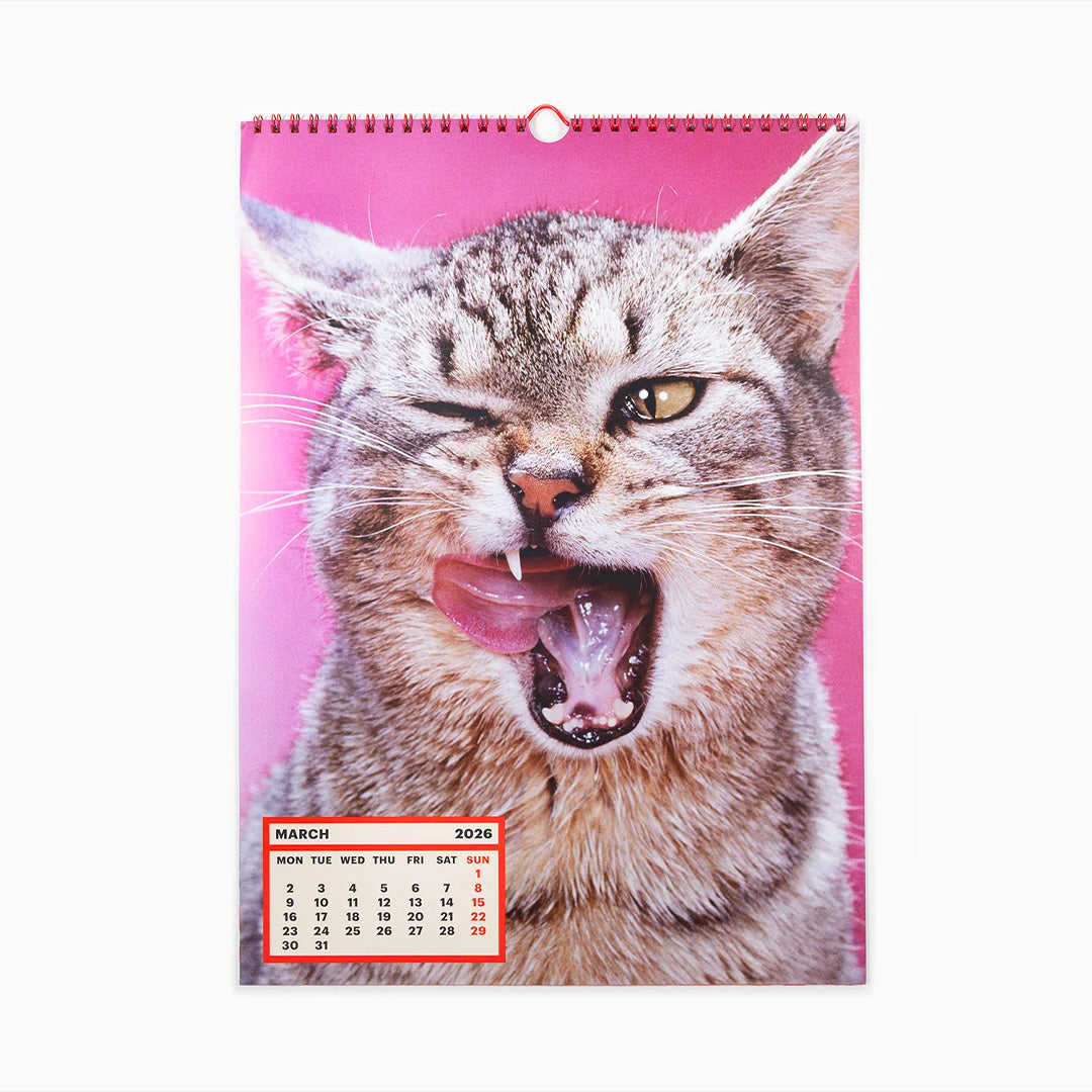 ToiletWalter PaperChandoha