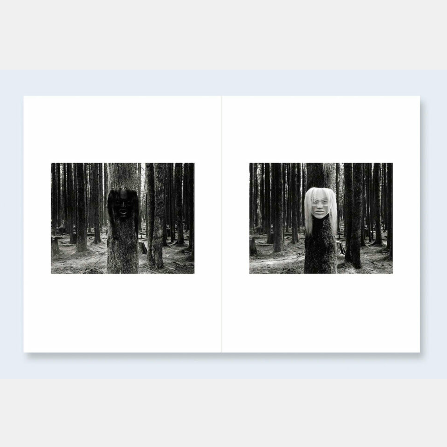 Jakob de Boer Where Ravens Cry /anglais
