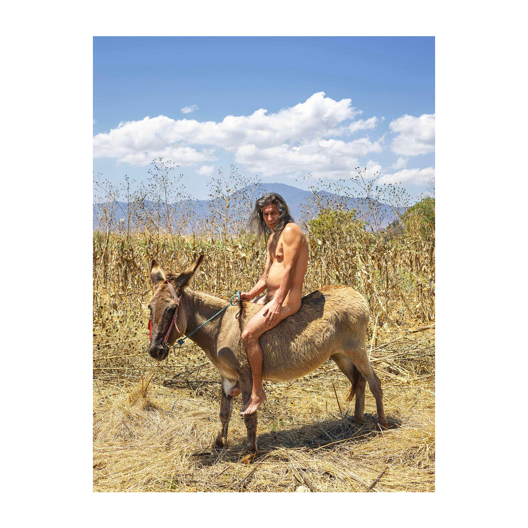 La Cucaracha