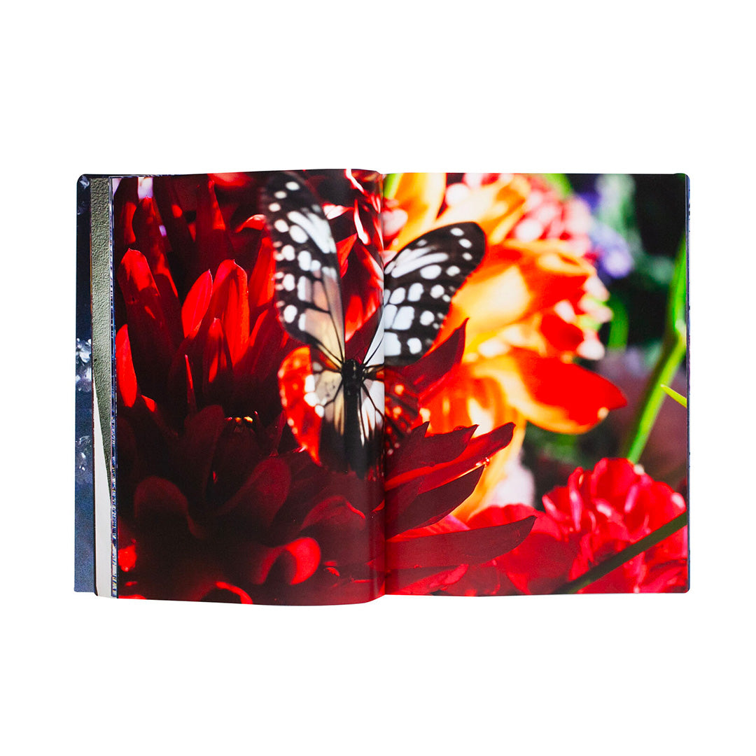 Eternity in a Moment Vol 3