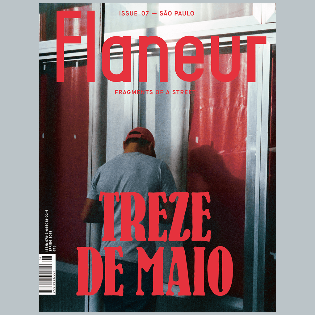 Flaneur #7 - sao paulo