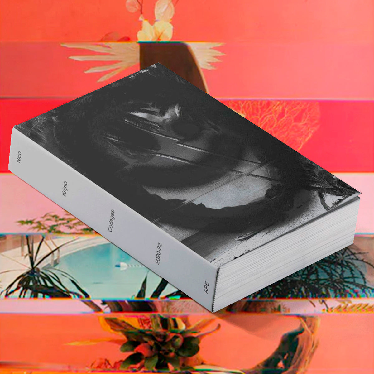 Nico Krijno Collages 2020-22 /anglais
