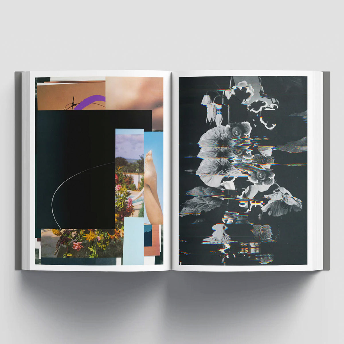 Nico Krijno Collages 2020-22 /anglais