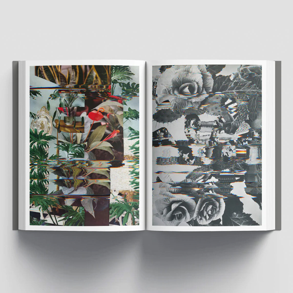 Nico Krijno Collages 2020-22 /anglais