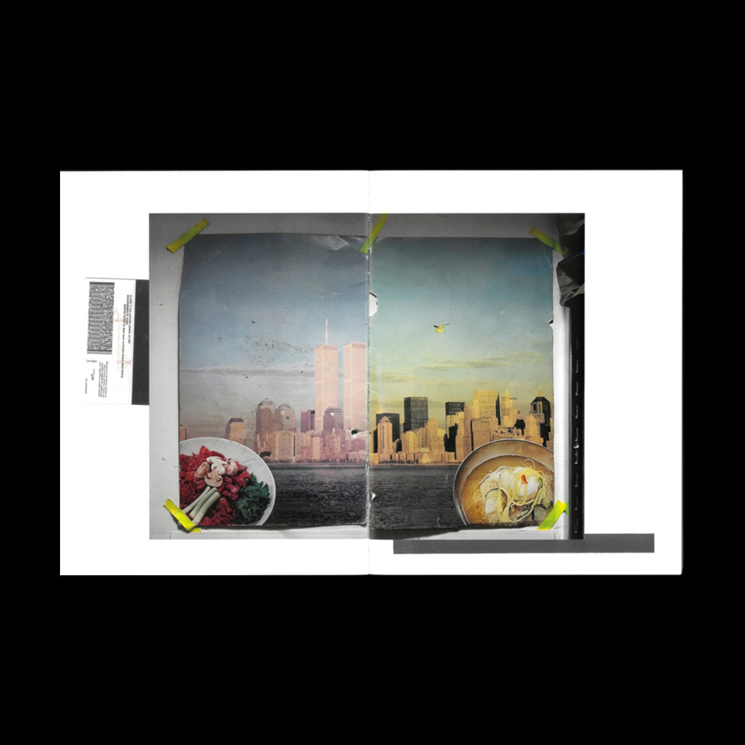 Arash Fayez: Apolis /French/English/Spanish