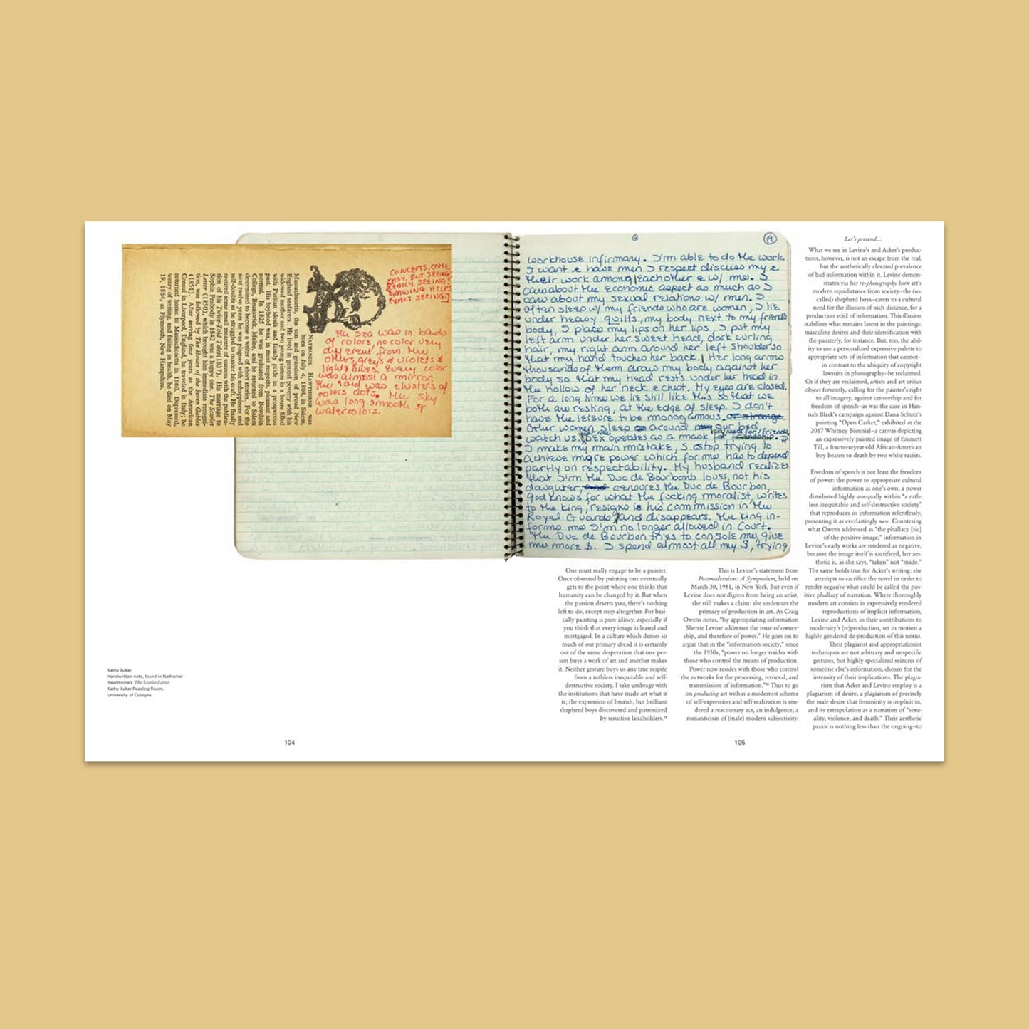 Kathy Acker: Get Rid of Meaning