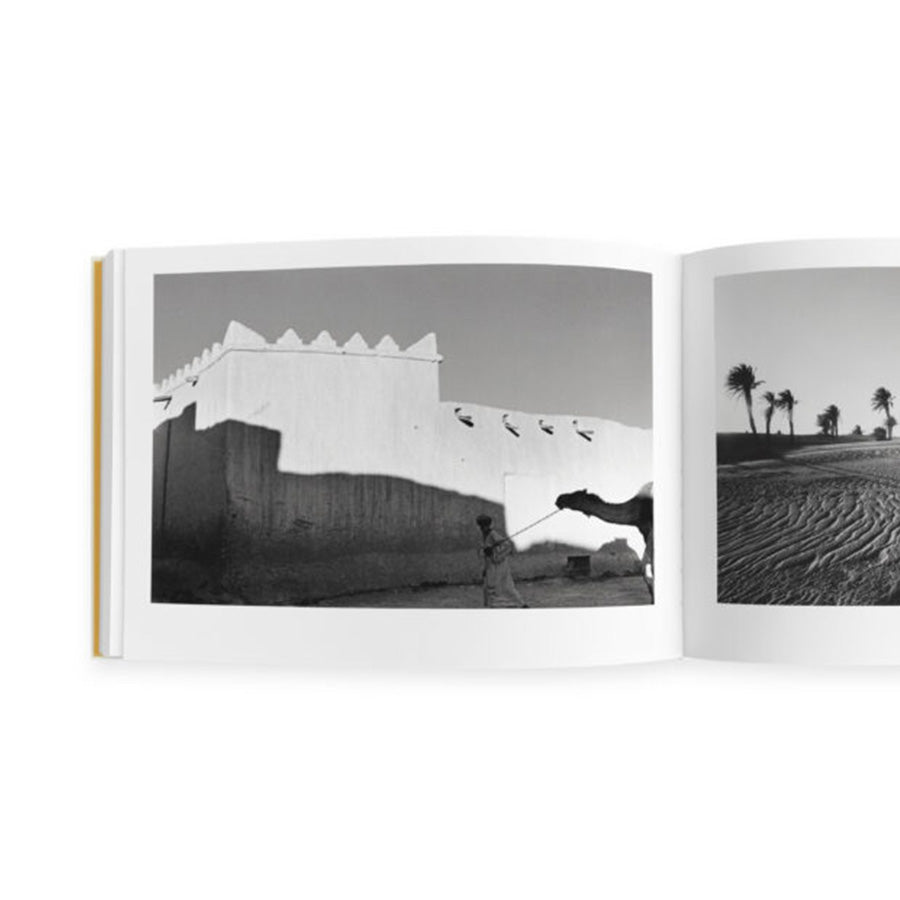 RAYMOND DEPARDON, DESERT