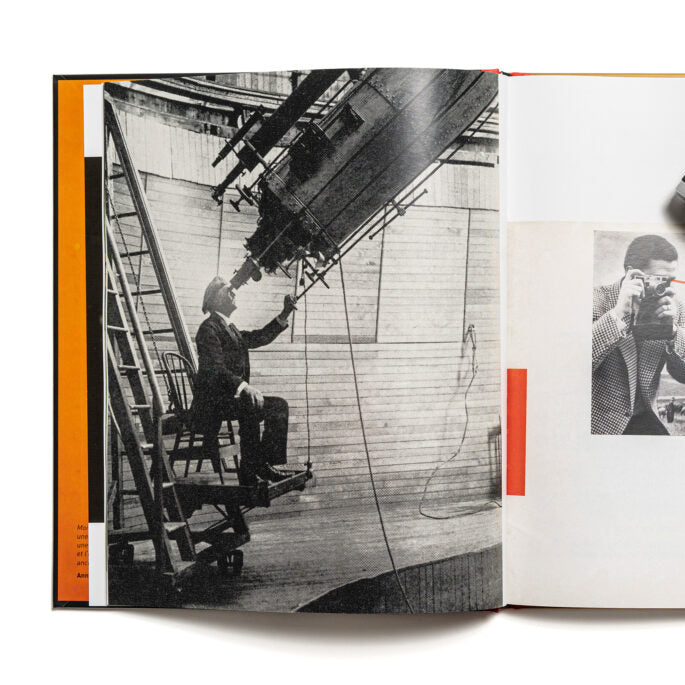 The Donkey that became a zebra