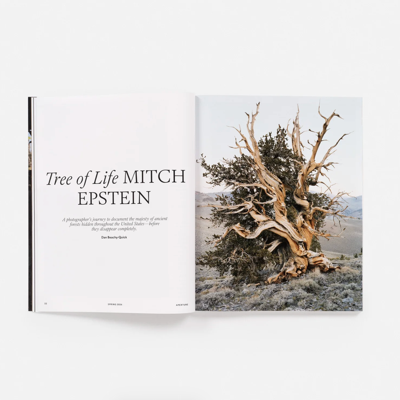 Magazine Aperture 262 : Environment