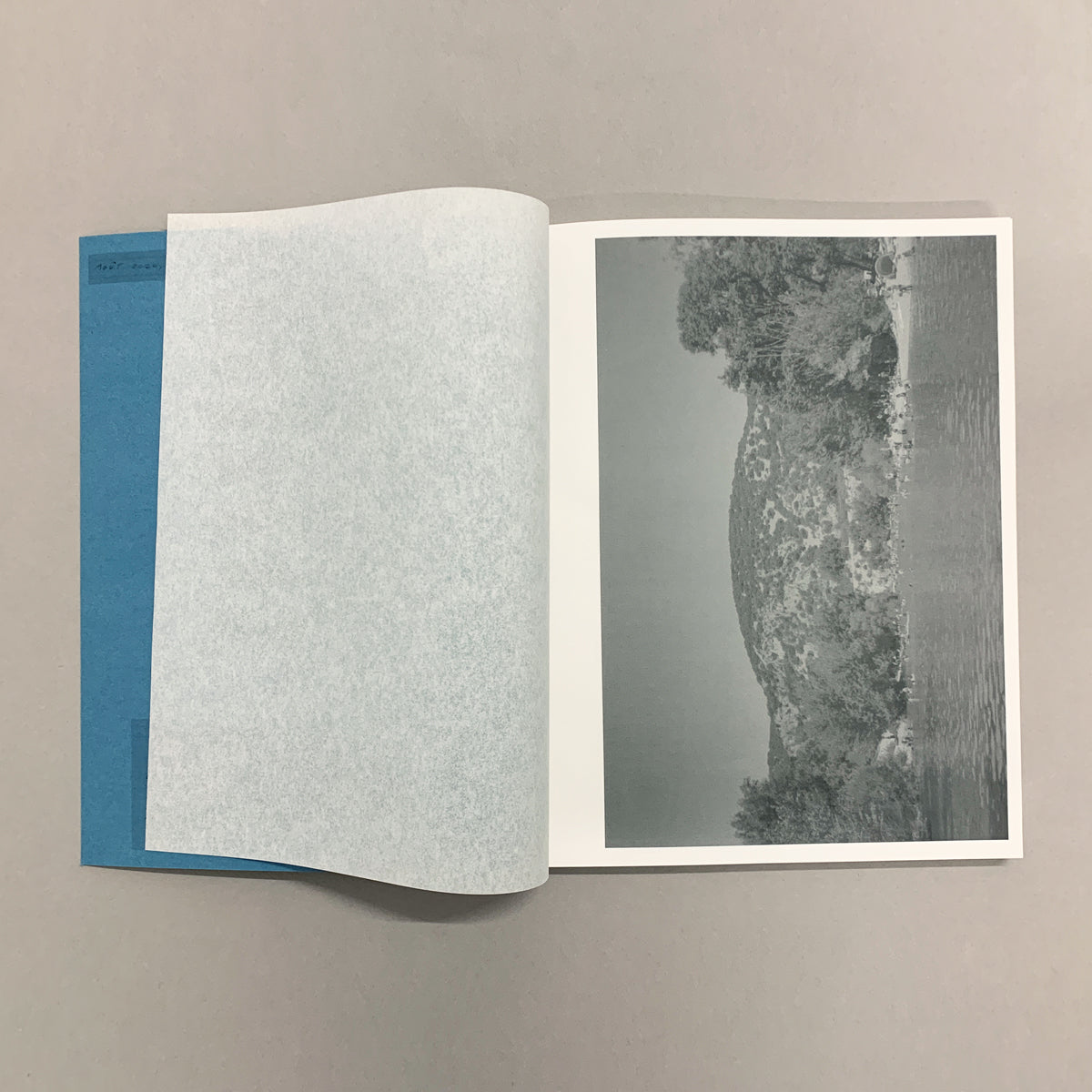 August 2020, dear diary,