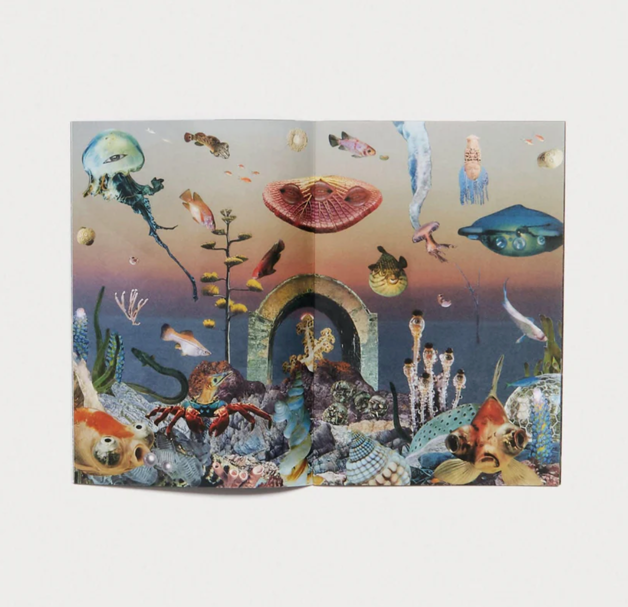 Hybrids and Mushroom friends