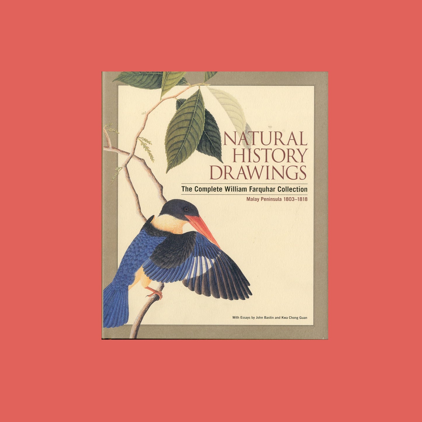Natural History Drawings