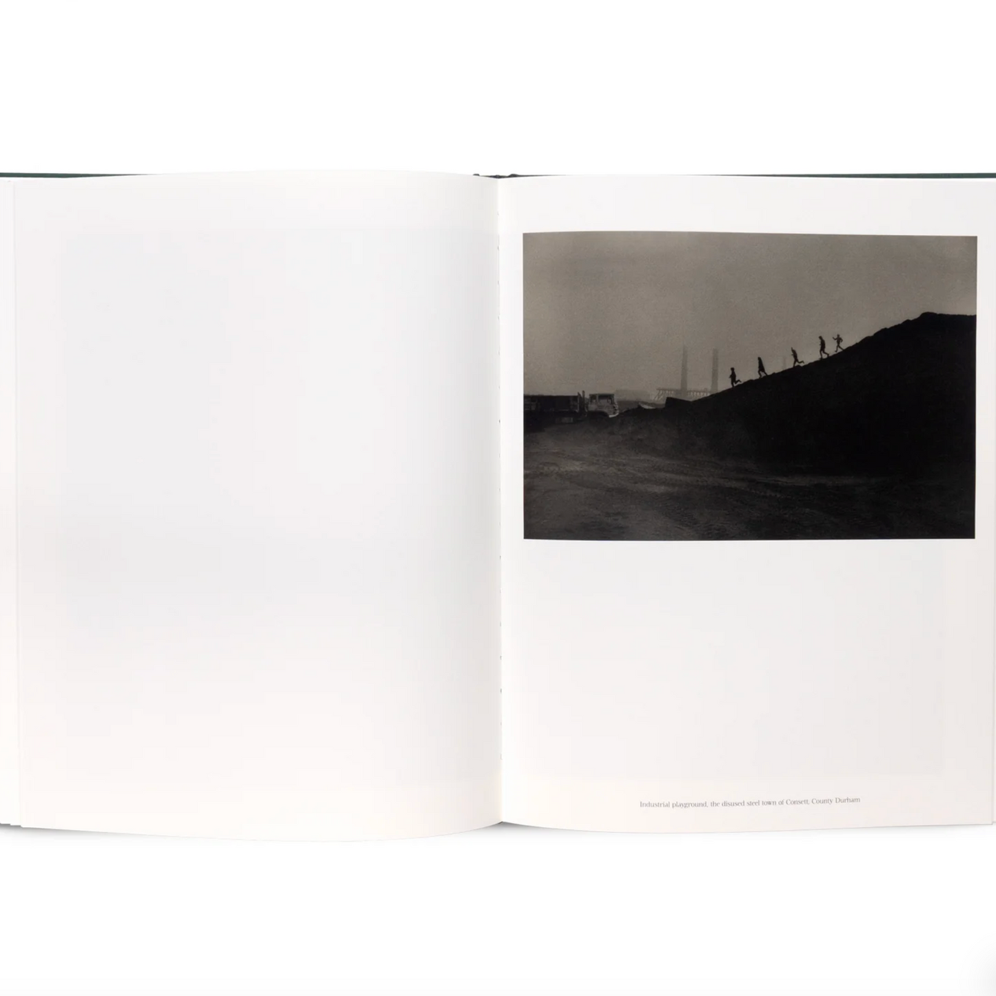 The Stillness of Life