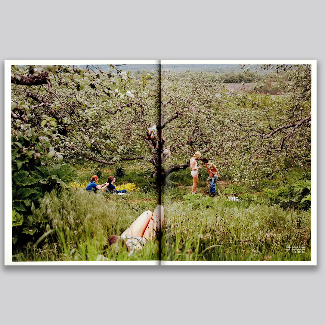 See all this 30: paradise found