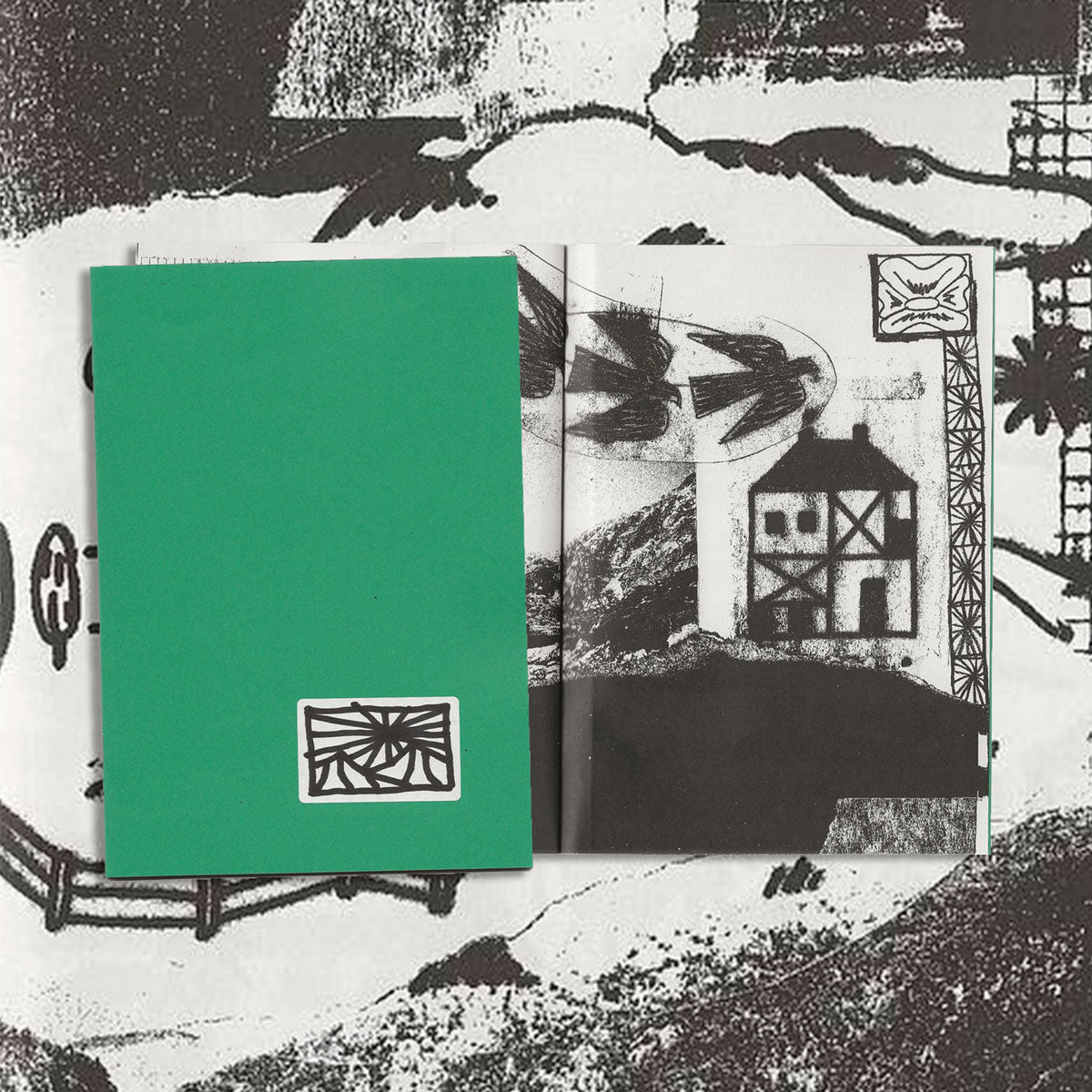 The house and the mountain