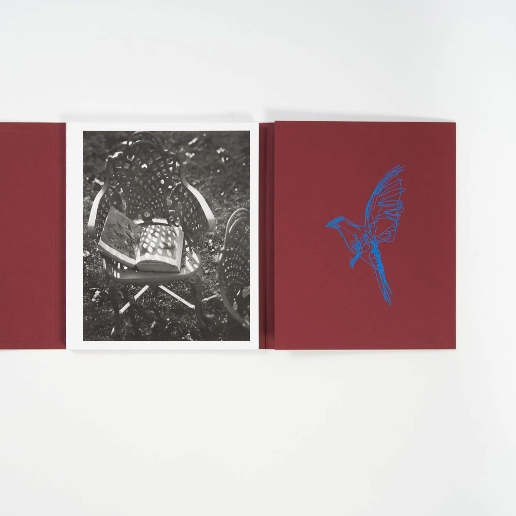 Calling the Bird Home