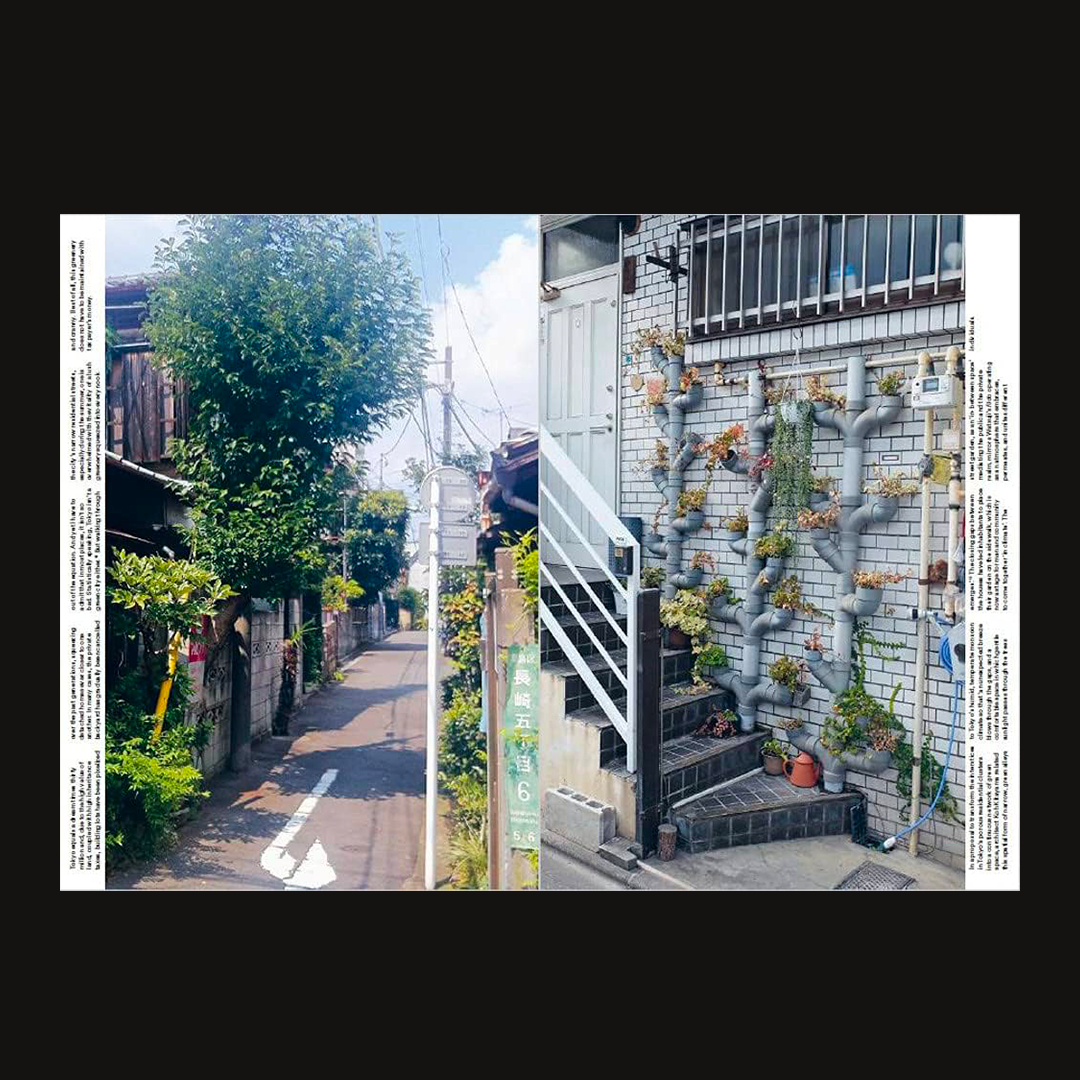 Japan - nation building nature