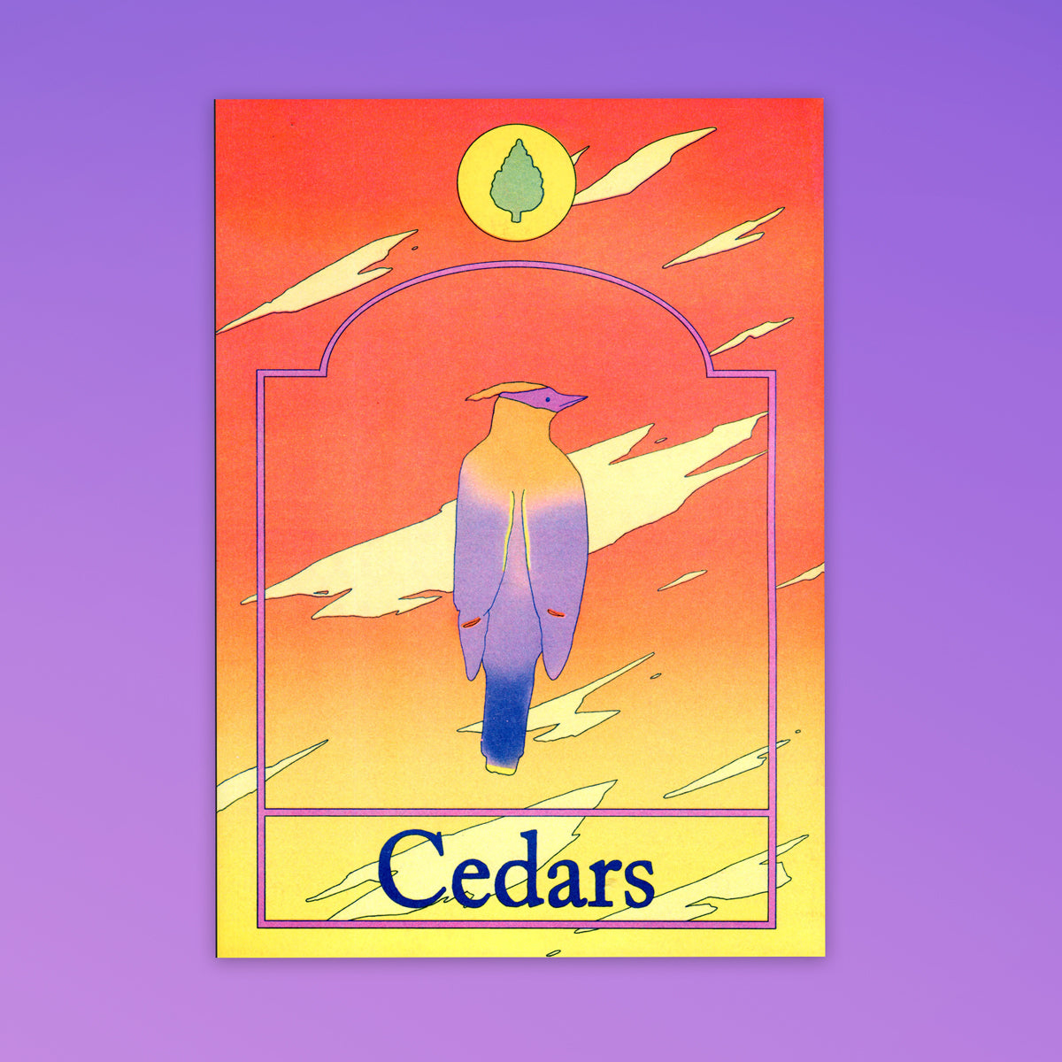 Cedars