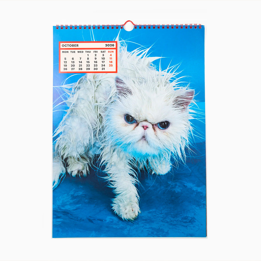 ToiletWalter PaperChandoha