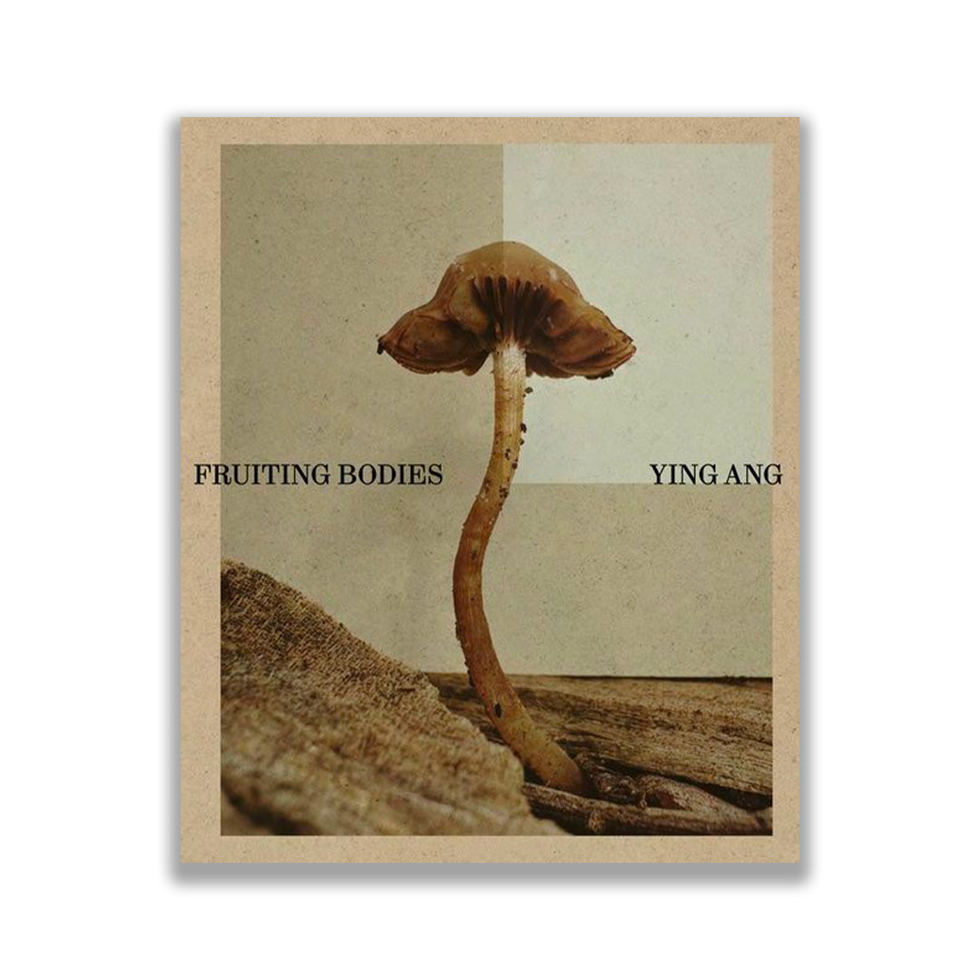 Fruiting Bodies