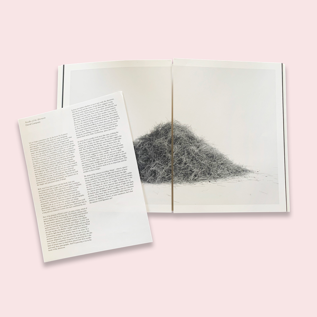 Txema Yeste Needles /anglais/espagnol