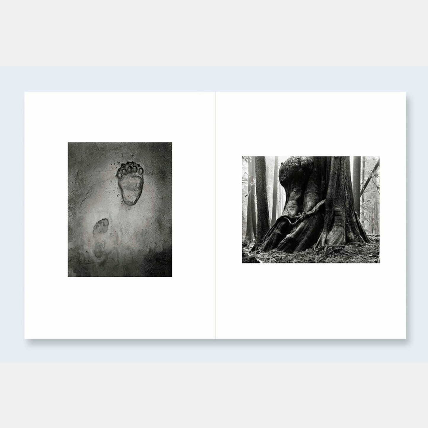 Jakob de Boer Where Ravens Cry