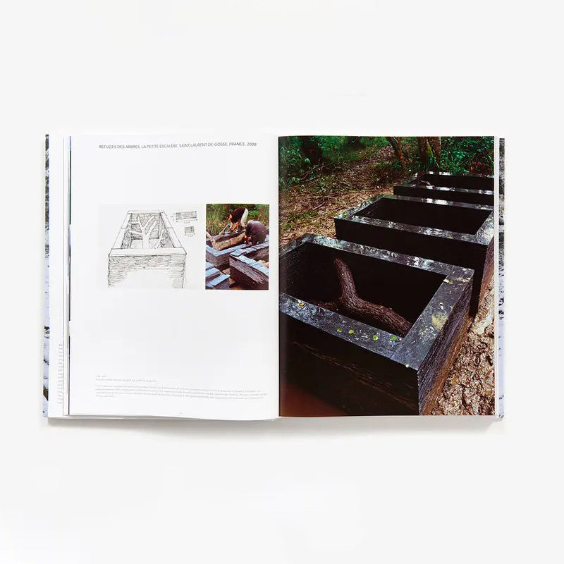 Andy Goldsworthy: Projects