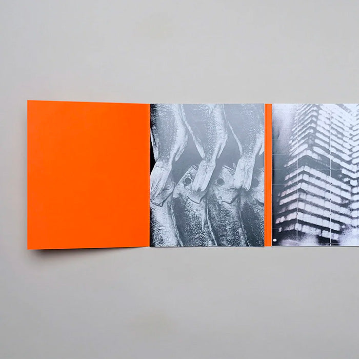 DIALOGUE #3 Antony Cairns X Frank Horvat