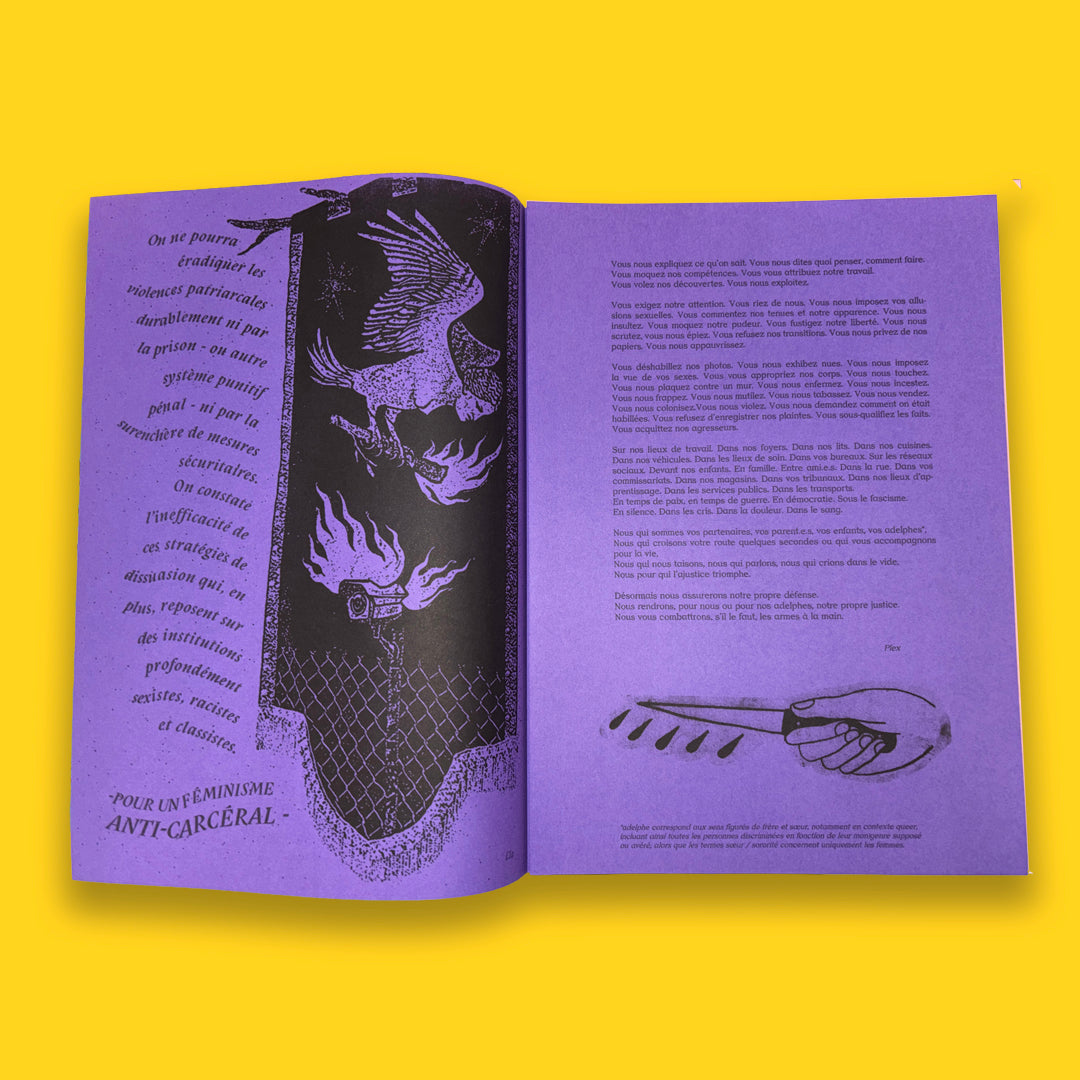 Champs de Ronces - Journal des ripostes queer féministes aux VSS