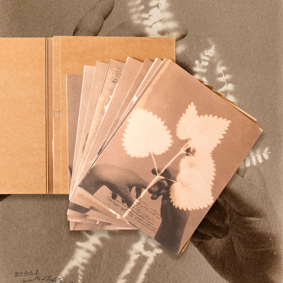 Herbarium