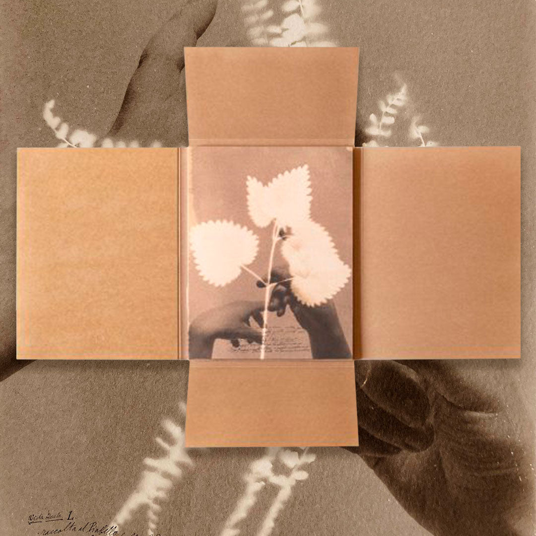 Herbarium