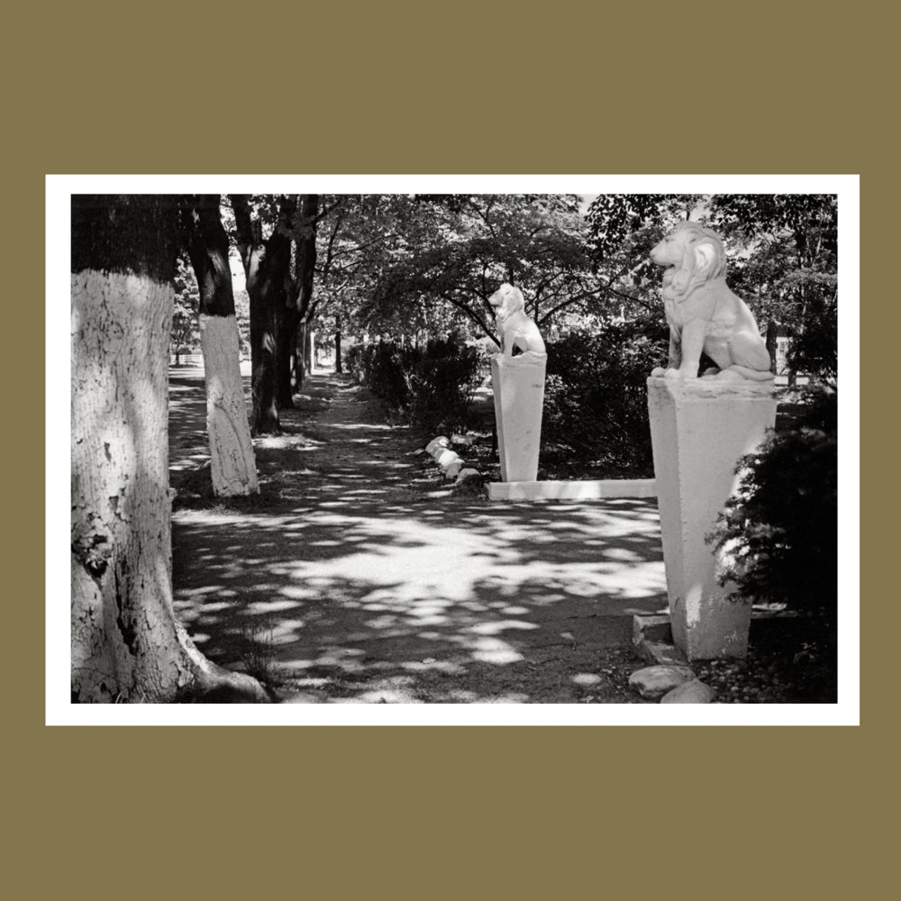 JOE SZABO HOMETOWN /ANGLAIS