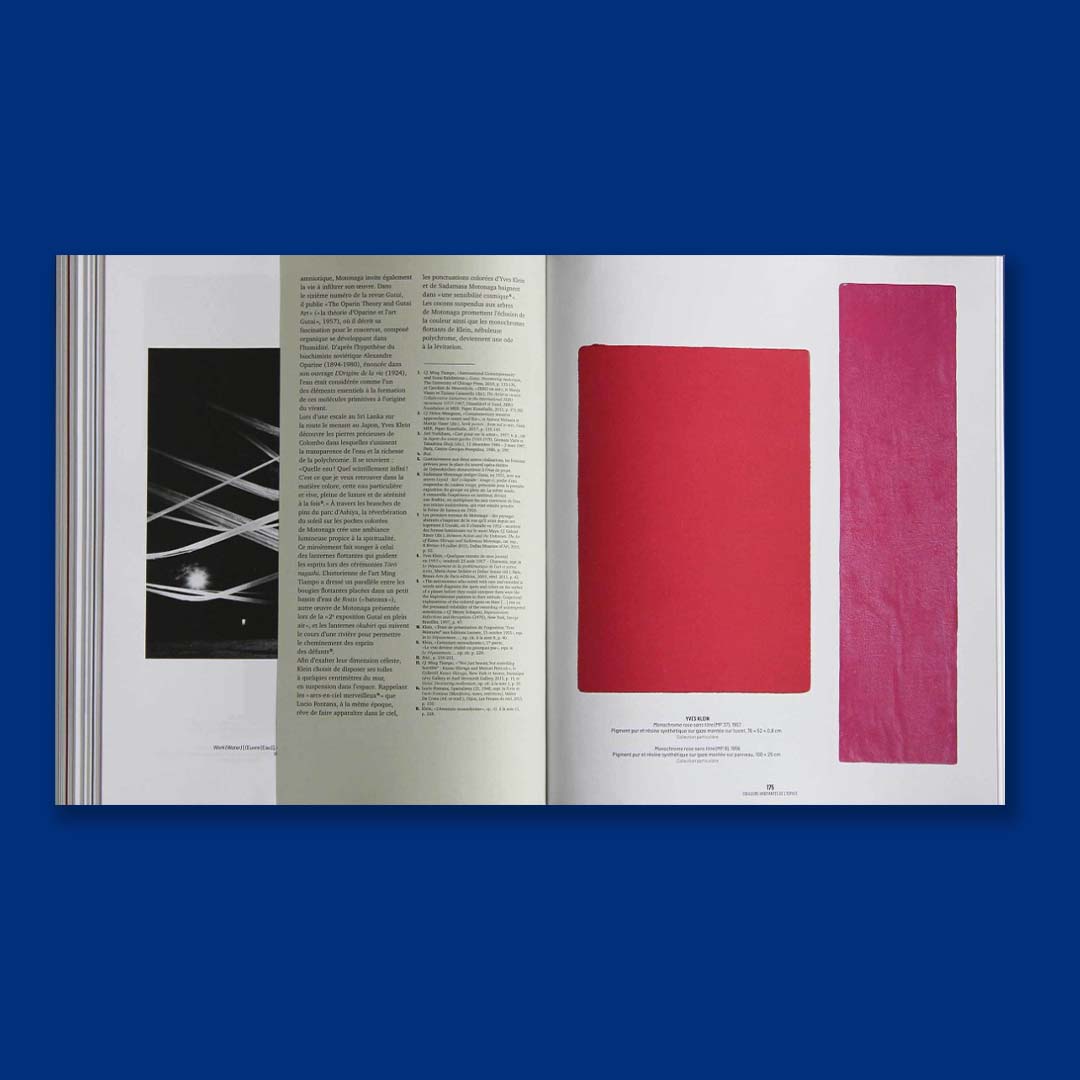 yves klein et ses contemporains