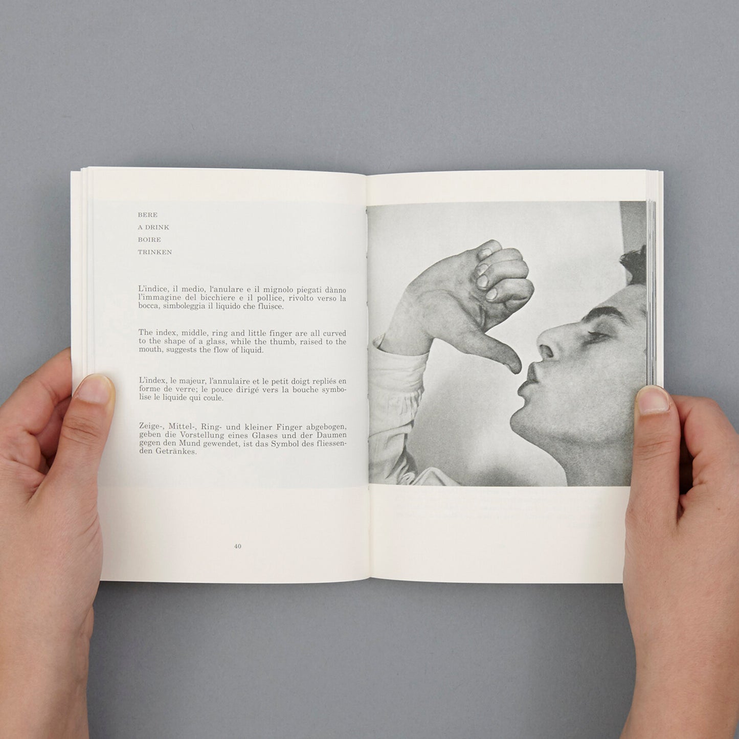 Supplemento dizionario