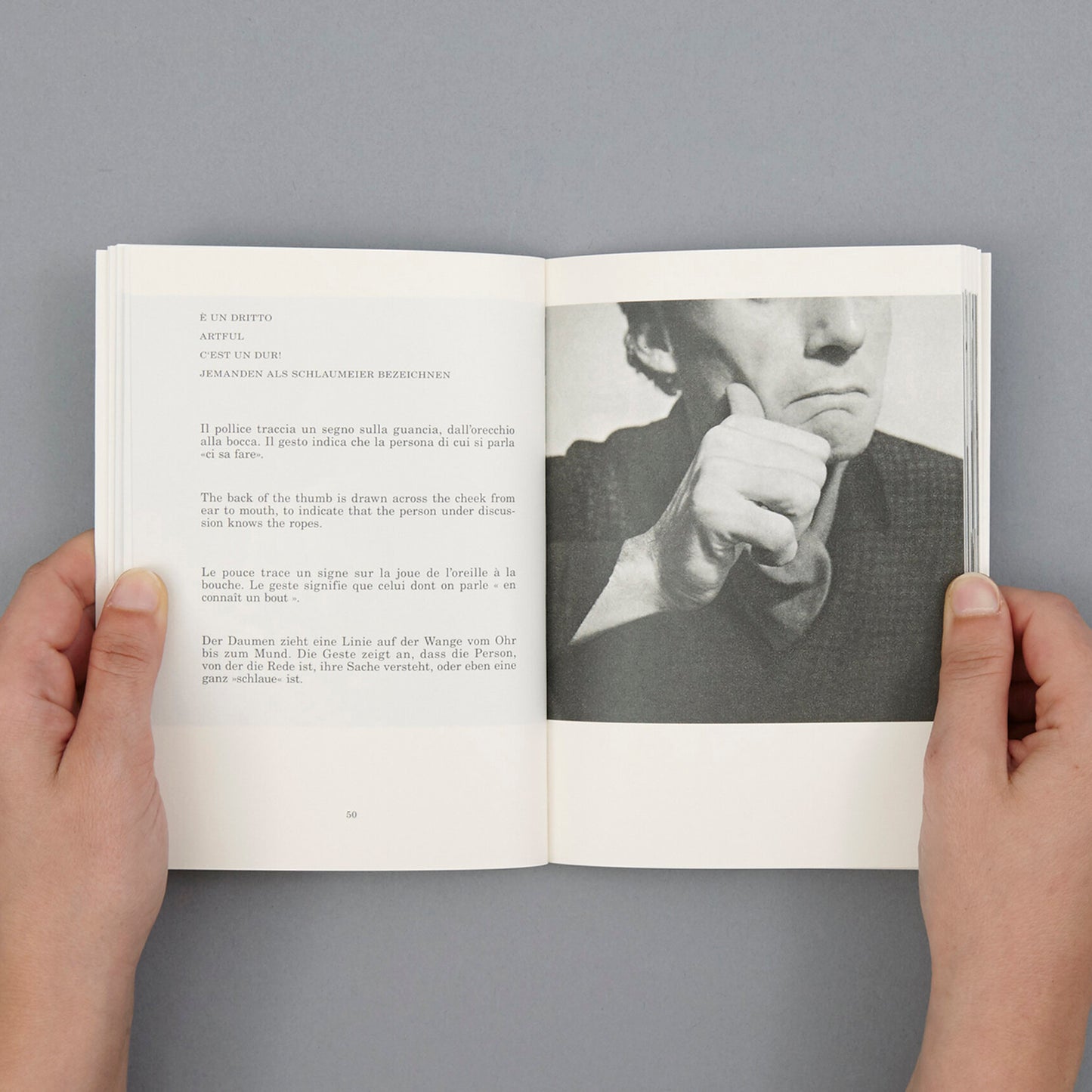 Supplemento dizionario