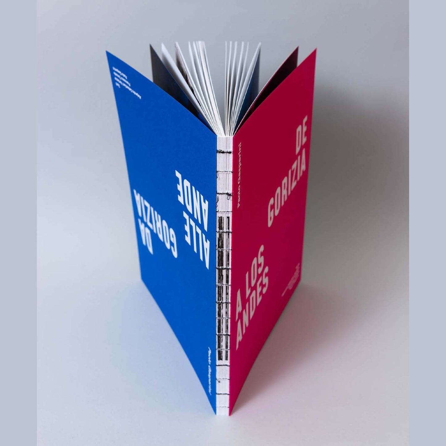 Da gorizia alle ande