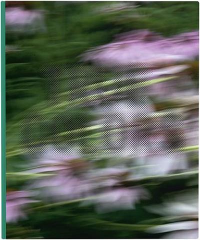 Zora J Murff True Colors (or, Affirmations in a Crisis) /anglais