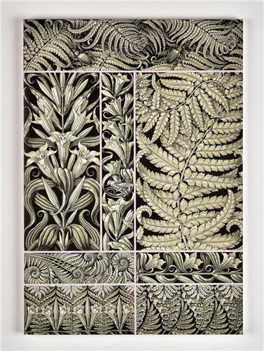 Fantaisies & ornements - planches décoratives d'Anton Seder