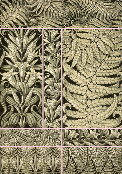 Fantaisies & ornements - planches décoratives d'Anton Seder