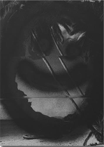 Nico Krijno Collages 2020-22 /anglais