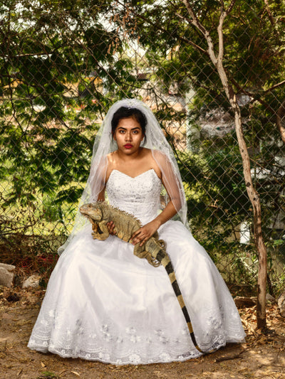 Pieter Hugo La Cucaracha /English