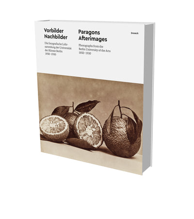 Paragones & Afterimages