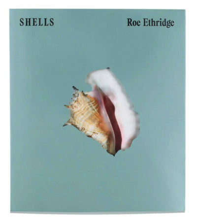 Shells