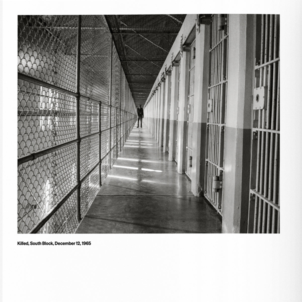 The San Quentin Project /English